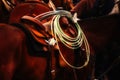 Close up of saddle and rope