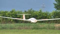 Close up of a sailplane landing on a grass airstrip. Copy space. Royalty Free Stock Photo