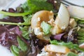 close up of a salad with apples, crumbled cheese and dressing Royalty Free Stock Photo