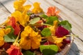 Close up salad of boiled beets, nasturtium and walnuts. Nice vegetarian dish. Close up. Blur and selective focus