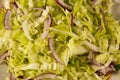 Close-up of salad with chinese cabbage and onion Royalty Free Stock Photo