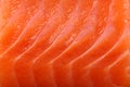 Close-up salmon