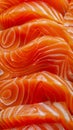 A close up of salmon on a plate