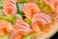 Close up Salmon sashimi - japanese food style Royalty Free Stock Photo
