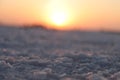 Close-up of salt marsh at Rann of Kutch with setting sun in the background- Rann utsav - white desert - Gujarat tourism - Twilight Royalty Free Stock Photo