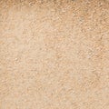 Close Up Sand for the Cat Litter. Natural Wooden Litter Top View. Toilet Particles. Macro. Organic Fuel. Wet Particles.