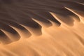 Close up of a sand dune, desert of Sahara Royalty Free Stock Photo