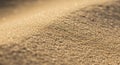 Close-up of a sand dune surface, the image captures the fine golden grains reflecting Royalty Free Stock Photo