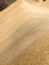 close up of a sand golden dune in the desert with million of grains of sand in a sunny day with a black stone at the back of the