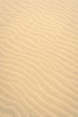 close-up of sand pattern at the Dutch coast, no people Royalty Free Stock Photo