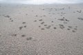 Close up on sand texture at the beach