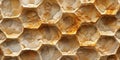 Close up of sand texture, desert vibe, abstract art, honeycomb pattern Royalty Free Stock Photo