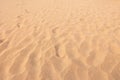 Close up sand texture pattern background of a beach