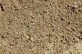 Close-up of a sandstone soil
