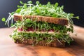 close up of a sandwich filled with vibrant microgreens
