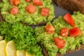 close up of sandwiches with latin american mexican sauce guacamole with avocado, diced tomatoes and rye bread toast decorated