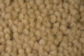 Close Up Sandy Brown Carpet Background Royalty Free Stock Photo