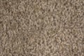 Close Up Sandy Brown Carpet Background Royalty Free Stock Photo