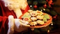Close-up of a Santa\'s hands holding a plate with colourful cookies