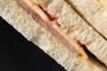 Close-up of sanwiches cut. Ham, cheese and tomatoes between two slices of wheat bread