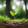Close up sapling in the froest, created with generative AI