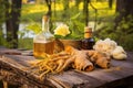 close-up of sarsaparilla root and ingredients on picnic table Royalty Free Stock Photo
