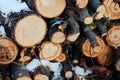 Close-up of sawed logs. Firewood covered with snow stacked up in pile for kindle Royalty Free Stock Photo