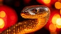 Close-up of a Scales Python with Golden Highlights, Lit Dramatically, on a Red Background Royalty Free Stock Photo