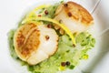 Close-up of scallop dish