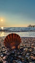 Close-Up of a Scallop Shell on a Beach with a Pier at Sunset Royalty Free Stock Photo