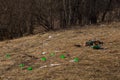 Close-up scattered garbage and lots plastic cups on spring grass left by tourists in mountains in forest