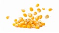 Close up of scattered raw corn kernels isolated on a white background Royalty Free Stock Photo