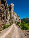 Close up scenic of Dabar road