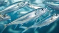 Close-up of a school of sardines in the sea. Generative AI. Royalty Free Stock Photo