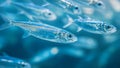 Close-up of a school of sardines in the sea. Generative AI. Royalty Free Stock Photo