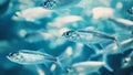 Close-up of a school of sardines in the sea. Generative AI. Royalty Free Stock Photo