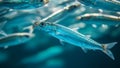 Close-up of a school of sardines in the sea. Generative AI. Royalty Free Stock Photo