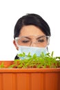 Close up of scientist examine new plants leaf