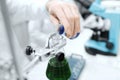 Close up of scientist filling test tubes in lab Royalty Free Stock Photo