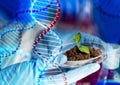 Close up of scientist hands with plant and soil Royalty Free Stock Photo