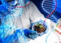 Close up of scientist hands with plant and soil Royalty Free Stock Photo