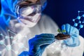 Close up of scientist with plant and soil in lab Royalty Free Stock Photo