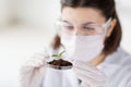 Close up of scientist with plant and soil in lab Royalty Free Stock Photo