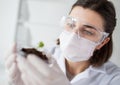 Close up of scientist with plant and soil in lab Royalty Free Stock Photo