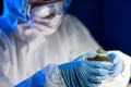 Close up of scientist with plant and soil in lab Royalty Free Stock Photo