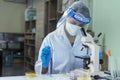 Close up Scientist woman hands look at Glass Petri Dish use Microscope research in science laboratory. Crop women hands Royalty Free Stock Photo