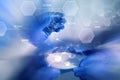 Close up of scientists hands with chemicals in lab