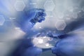 Close up of scientists hands with chemicals in lab