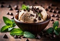 A close-up of a scoop of mint chocolate chip ice cream with chocolate chips on top.