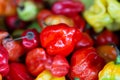 Close up of scotch bonnet peppers on a UK market stall Royalty Free Stock Photo